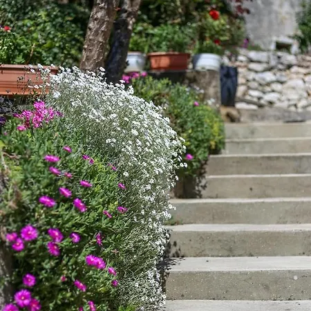 Apartment Danijela Zagorje