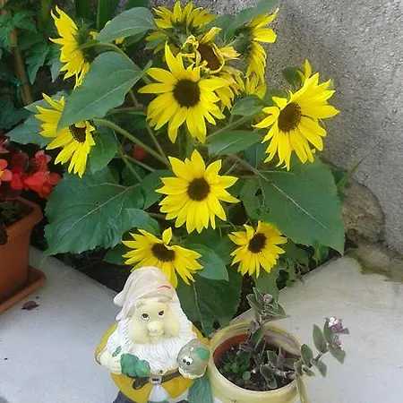 Apartment Danijela *