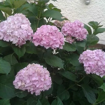 Apartment Danijela Zagorje