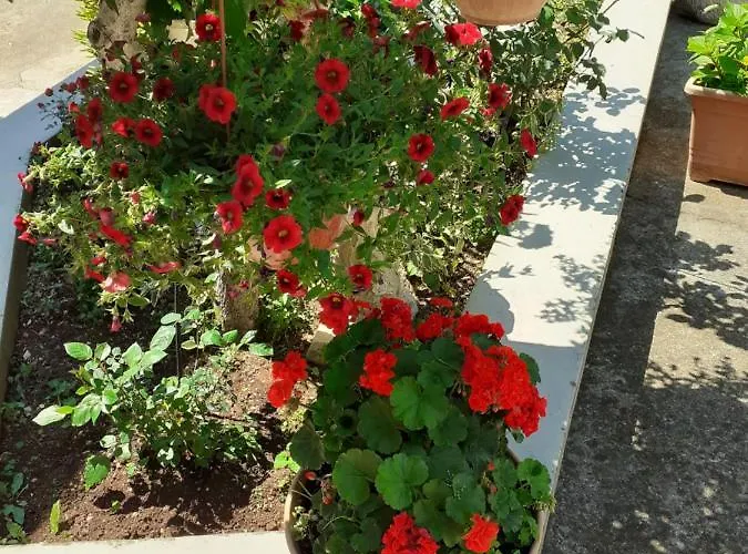 Danijela Διαμέρισμα *
