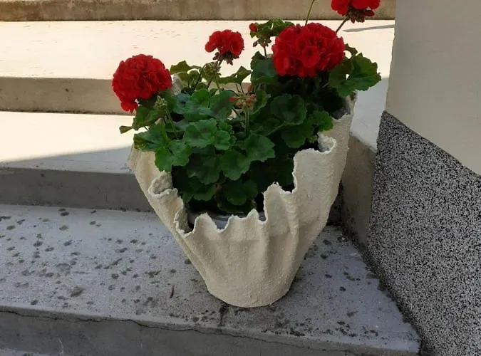 Danijela *