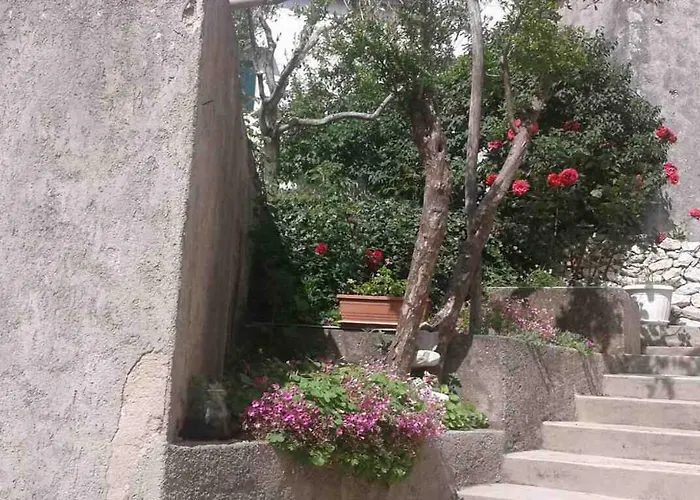 Danijela * Zagorje