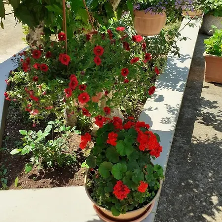 Apartman Danijela Apartment *