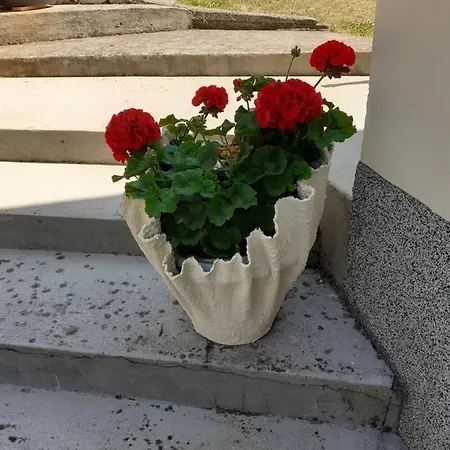 Apartman Danijela *