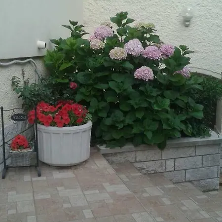 Apartment Apartman Danijela *